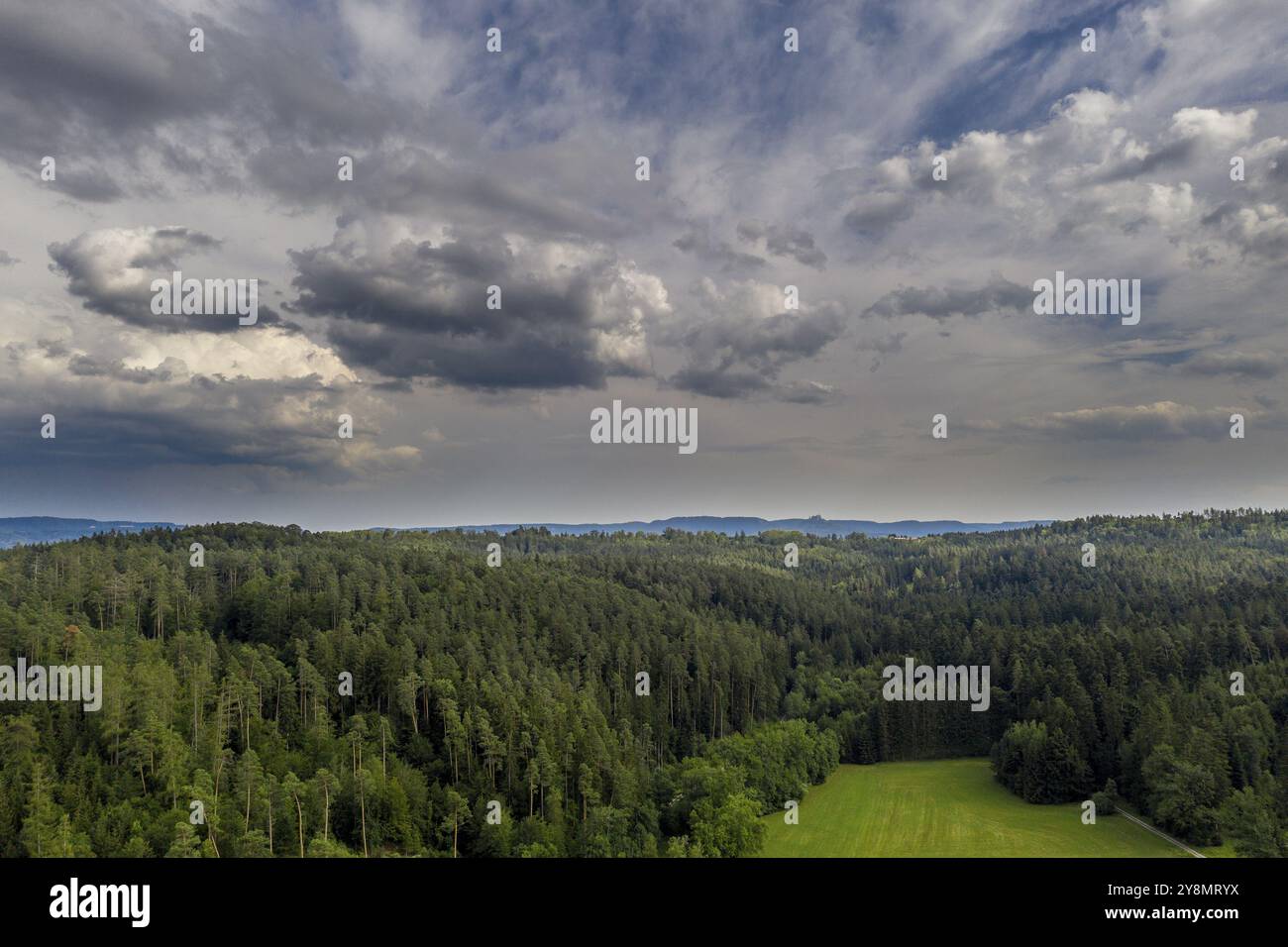 Forest landscape from above Stock Photo - Alamy