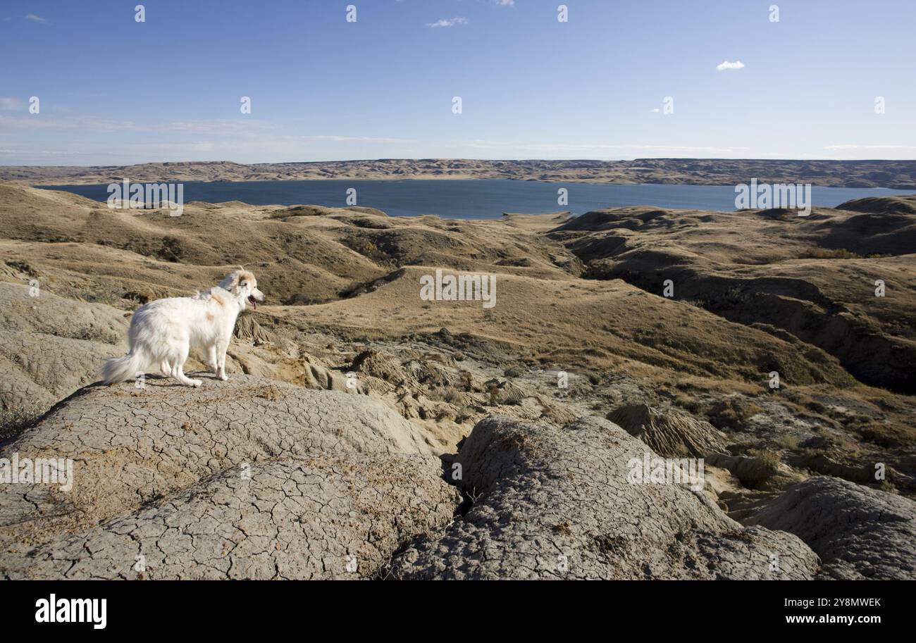 Sand Castles of Diefenbaker Lake Saskatchewan Badlands Stock Photo