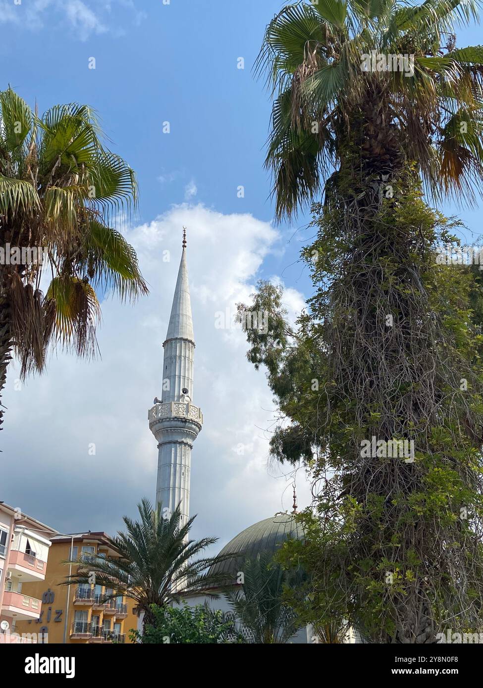 Stunning blend of palm trees and a mosque tower against a backdrop of ...