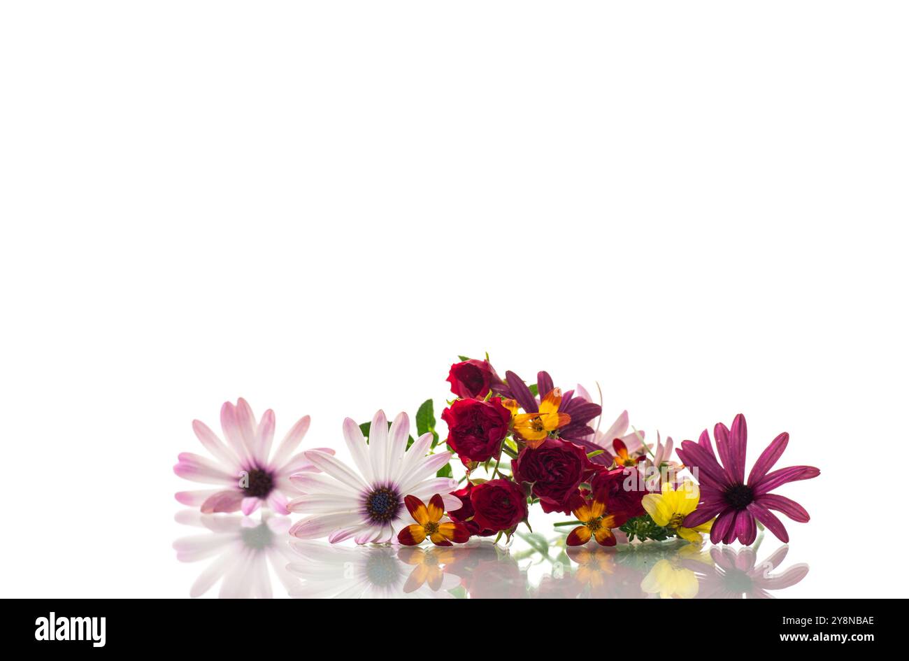 Multi colored flower border hi-res stock photography and images - Alamy