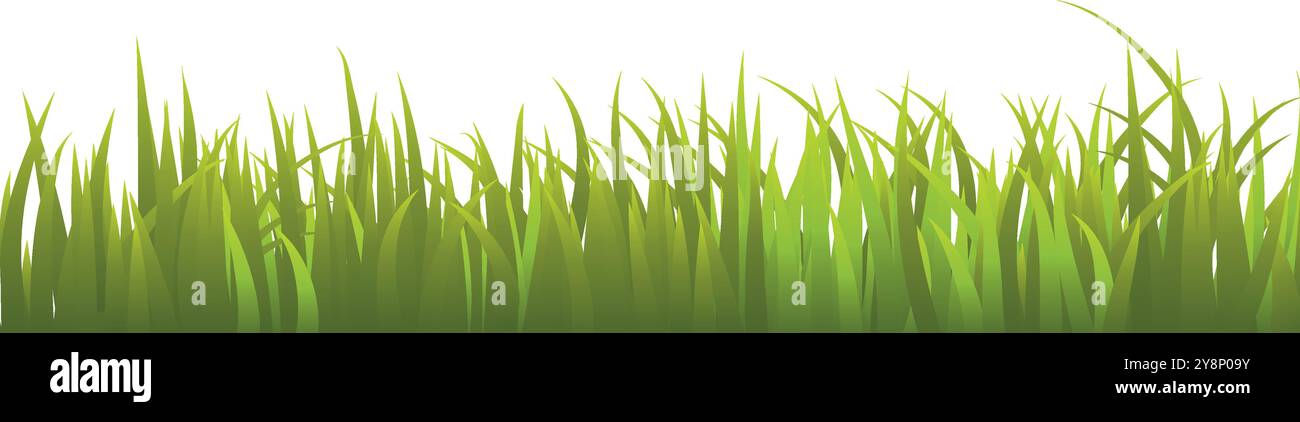 Fresh Green Grass Isolated on White Background Stock Vector Image & Art ...