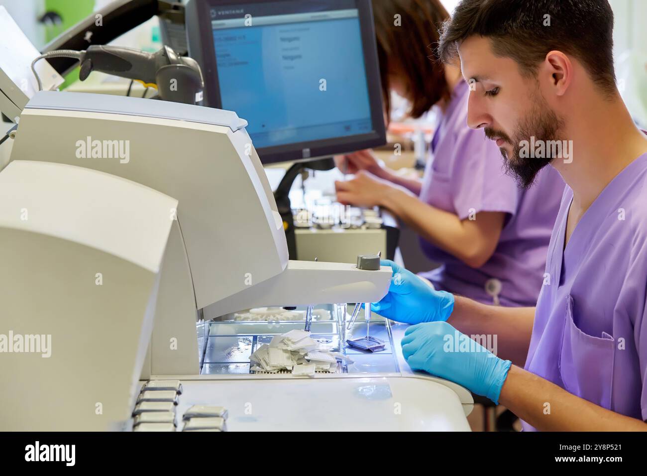 Histology, Sample preparation, Anatomic Pathology, Hospital Donostia, San Sebastian, Gipuzkoa, Basque Country, Spain. Stock Photo