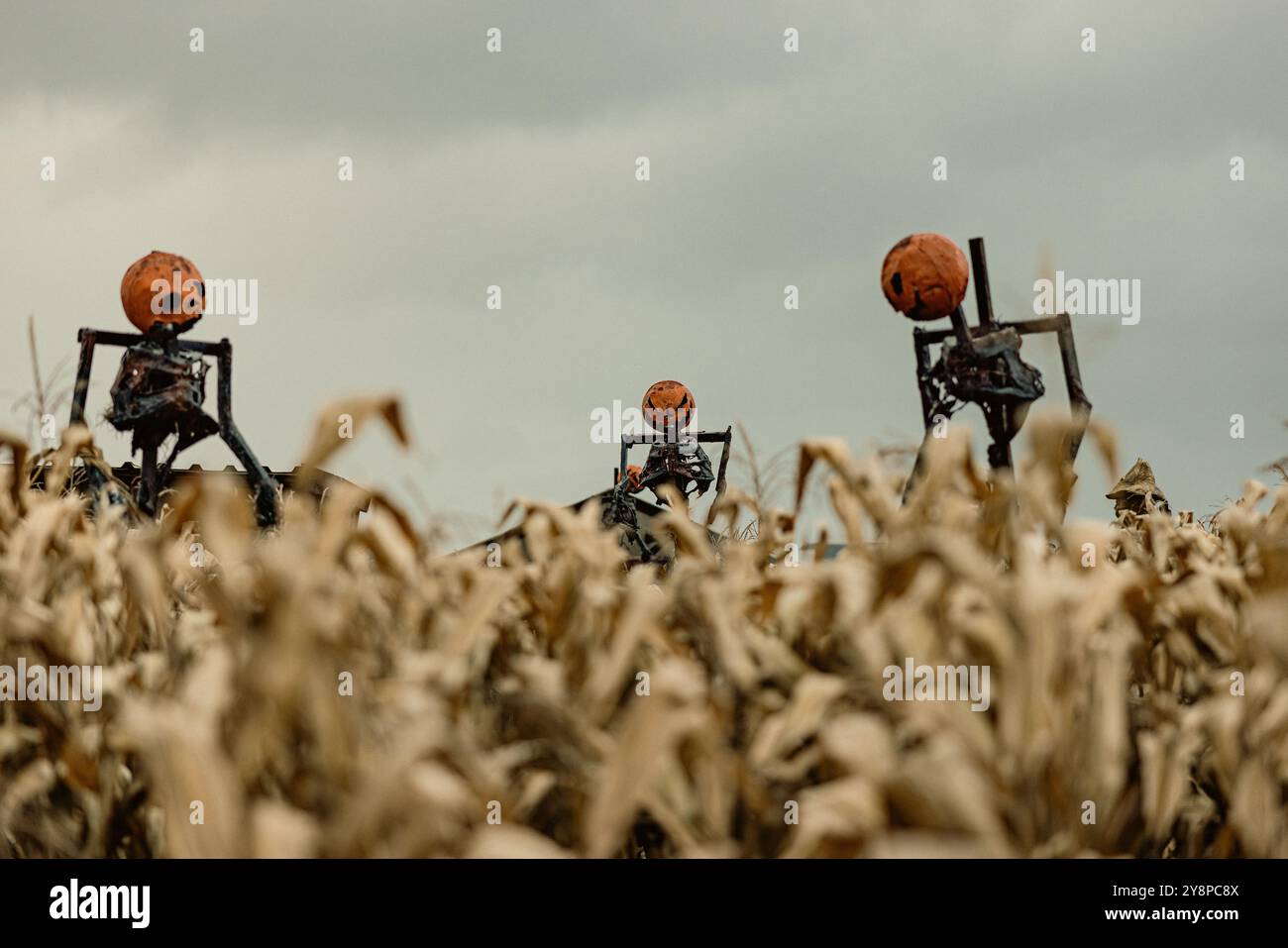 October 2022/23, Frankfurt, Germany, actors in monster and horror costumes perform in a horror labyrinth to celebrate Halloween. Stock Photo