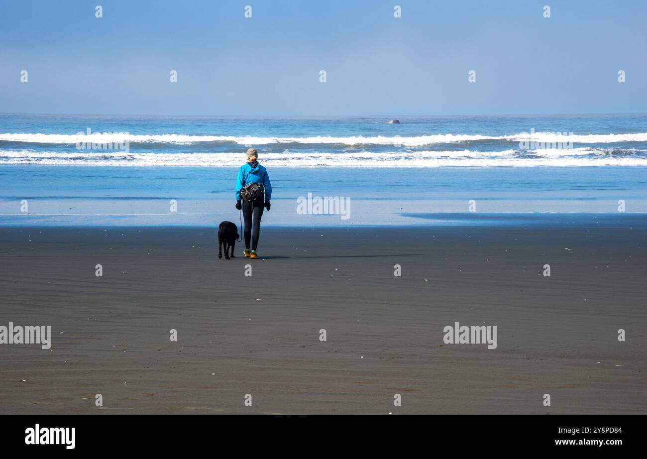 A single female senior walking her black lab along a beach on the Olympic Peninsula in Washington State. USA Stock Photo