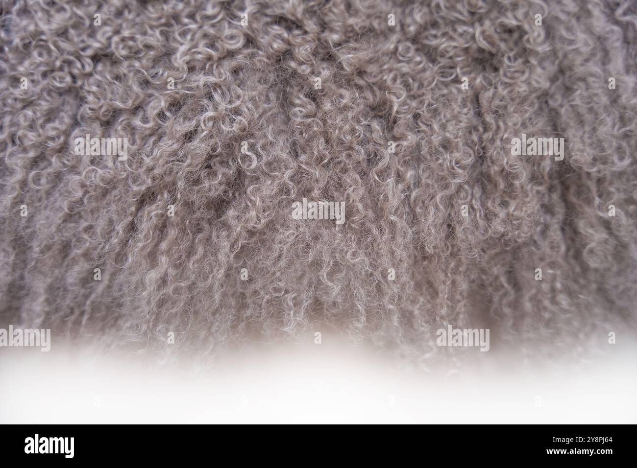 Soft texture of a Mongolian sheepskin fur coat in grey tones Stock ...