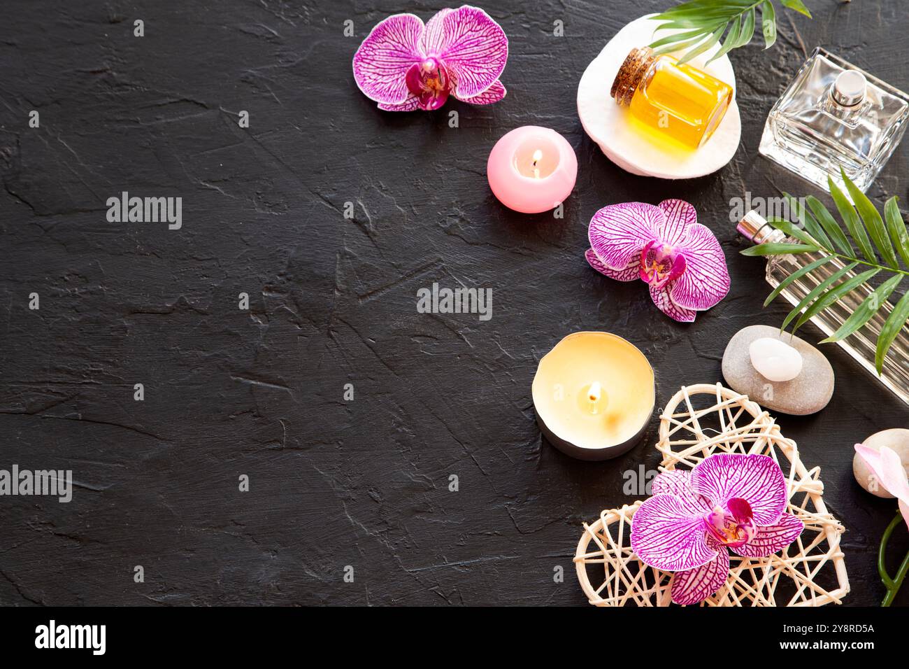 Beauty arrangement with an orchid on black background Stock Photo
