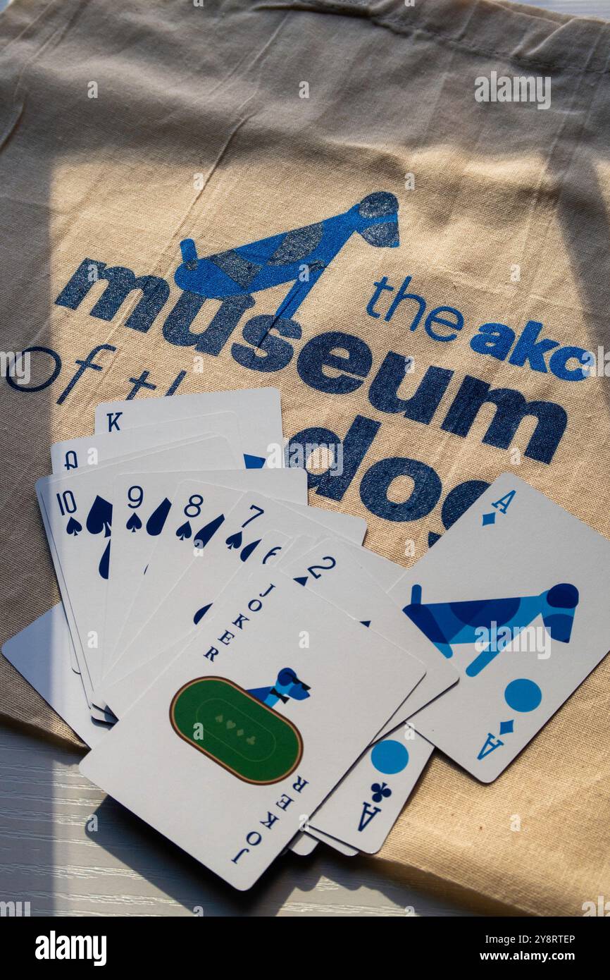 Museum of the dog swag from a paw on parade event in Bryant Park, 2024, New York City, United States Stock Photo