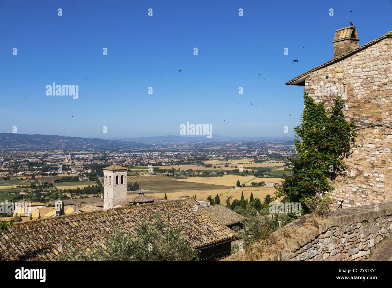 Assisi village in Umbria region, Italy. The town is famous for the most ...