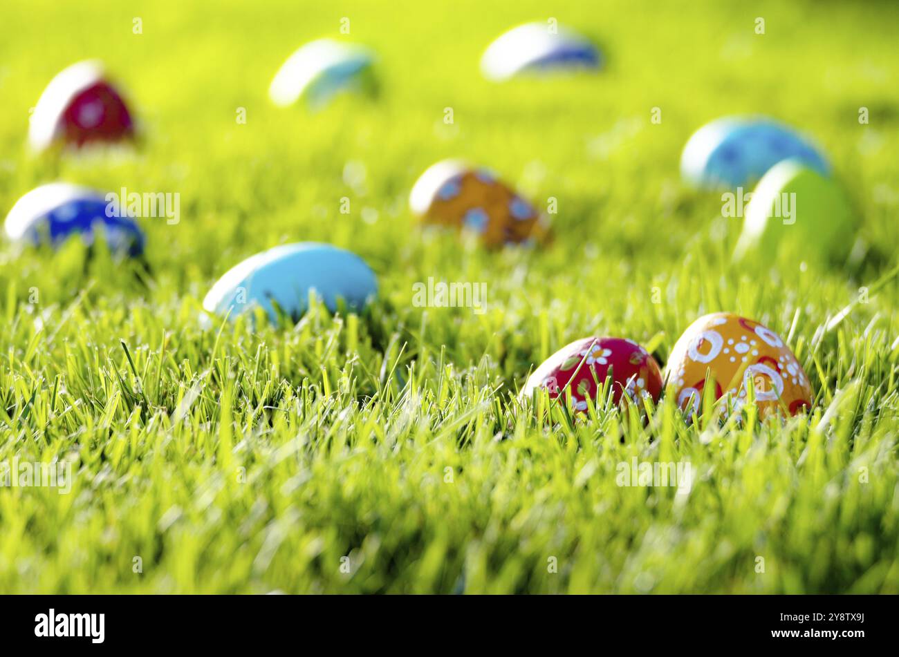 Easter eggs lying on green spring grass Stock Photo