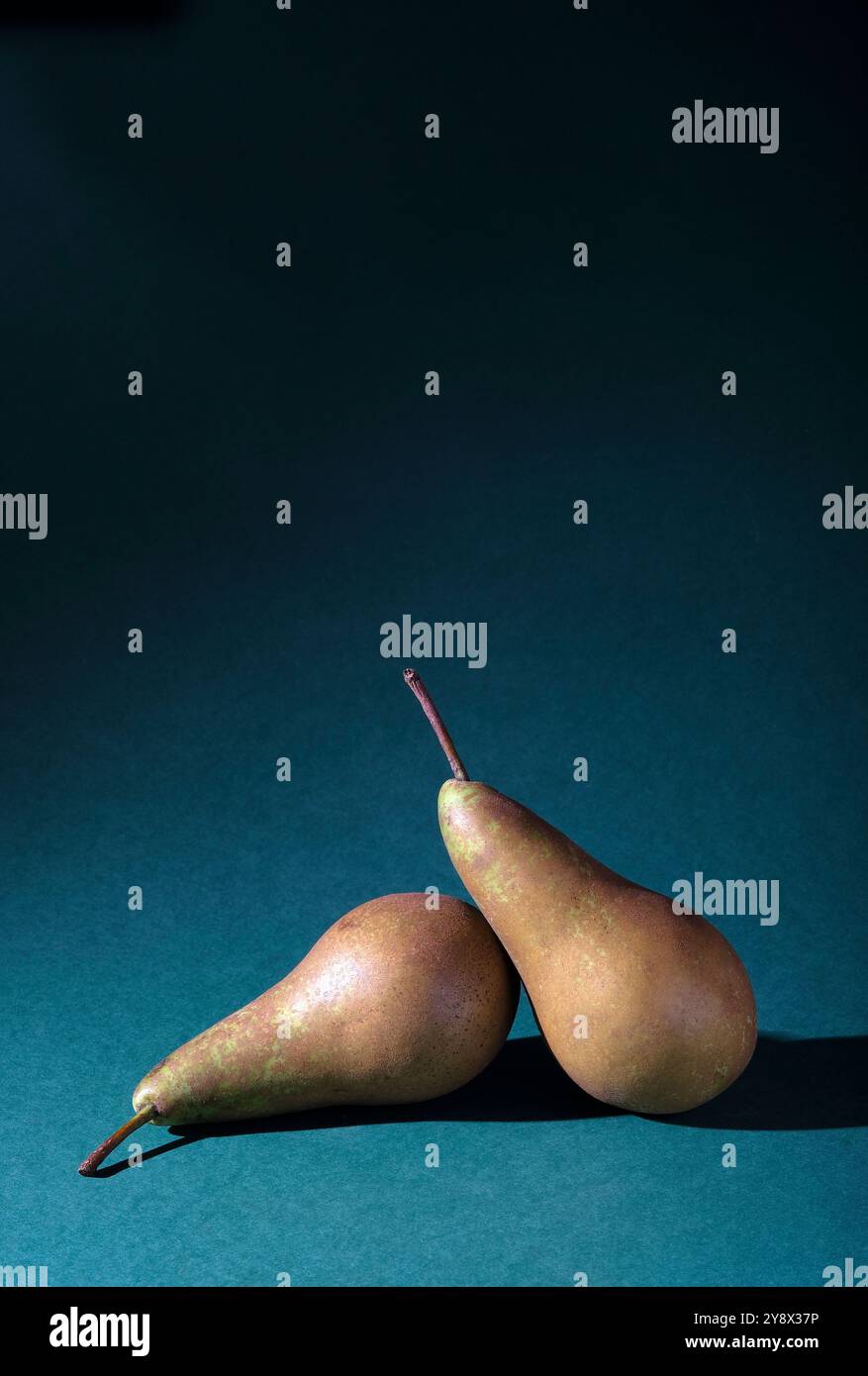 two conference pears on green background Stock Photo