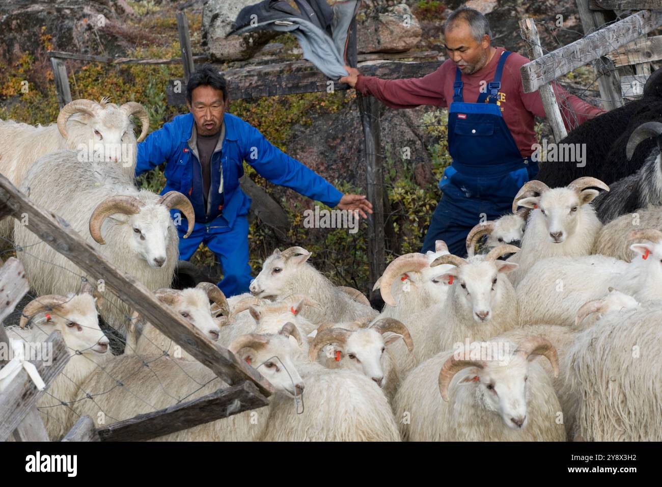 Ilua hi-res stock photography and images - Alamy