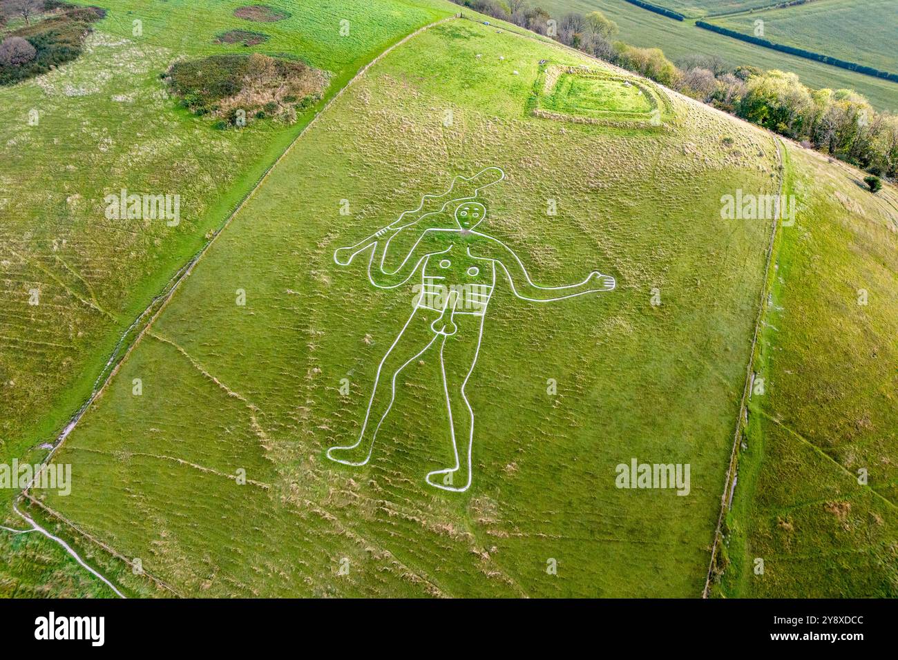 Cerne Abbas, Dorset, UK.  7th October 2024.  UK Weather.  Autumnal view from the air of the Cerne Abbas Giant at Cerne Abbas in Dorset on warm and mostly overcast morning.  Picture Credit: Graham Hunt/Alamy Live News Stock Photo