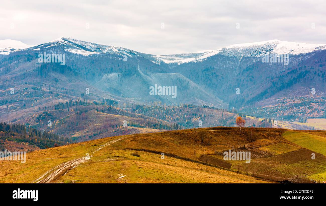 rural mountain landscape in november. late autumn scenery with snow capped peaks of carpathian mountains. fall season in ukraine. dramatic weather Stock Photo