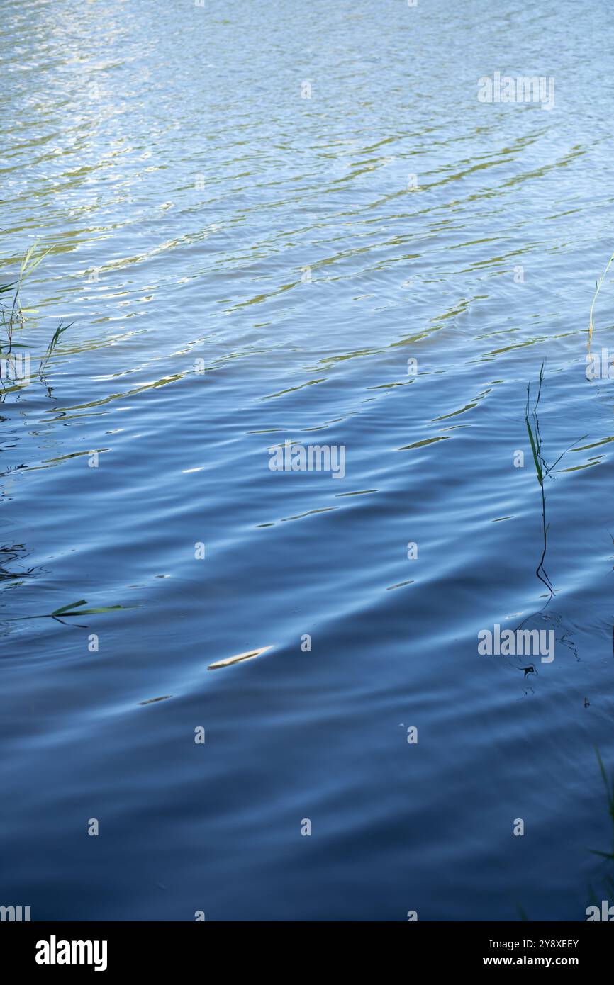 Smooth calm sea water surface hi-res stock photography and images - Alamy