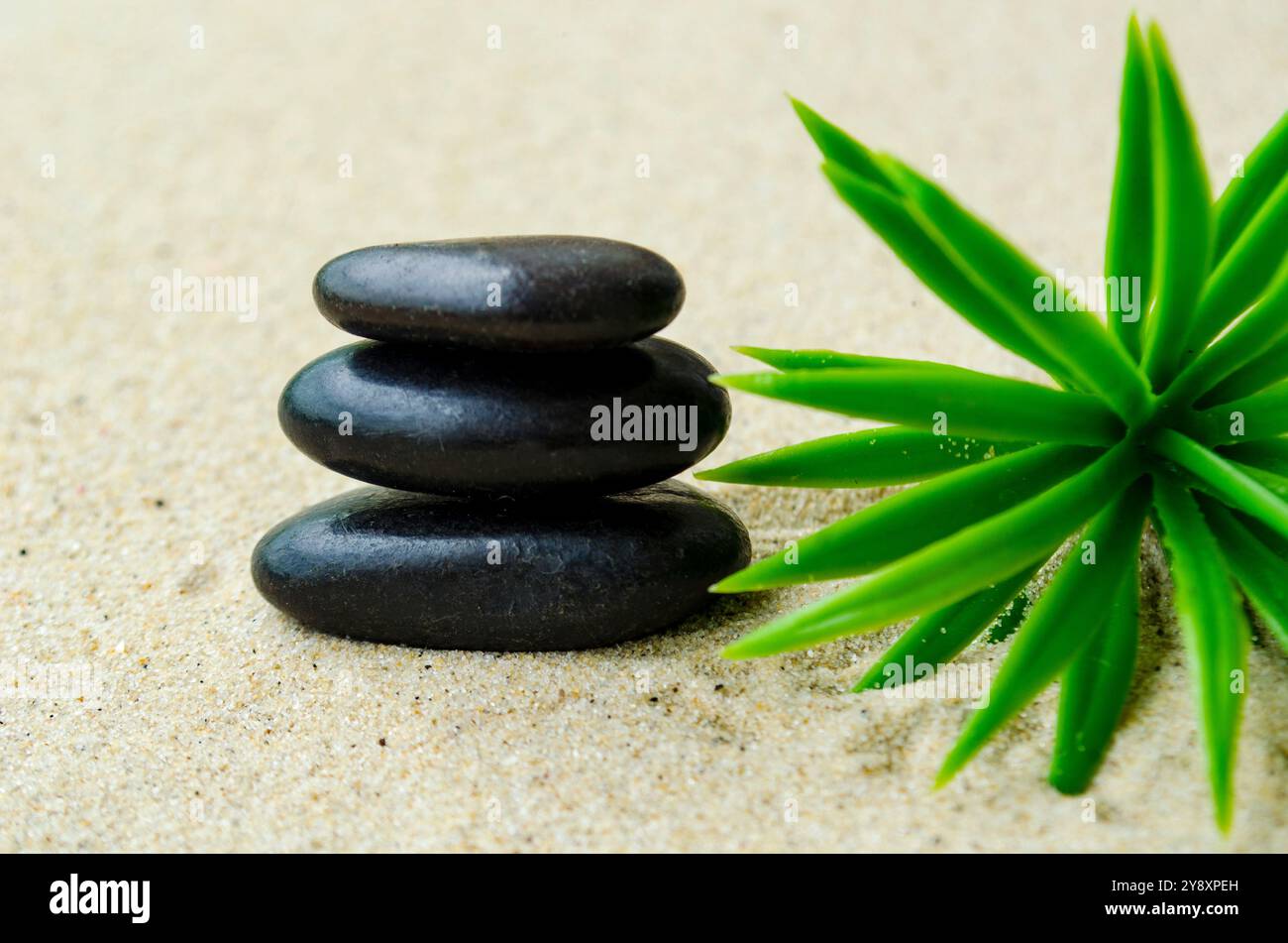Black zen stone with plant background with customizable space for text ...