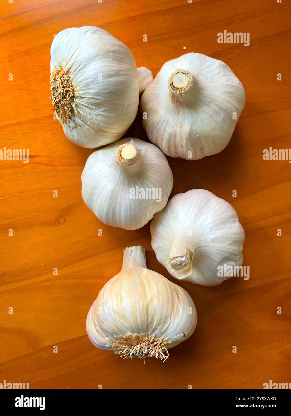 Garlics. Still life. - Smartphone Captured Stock Image