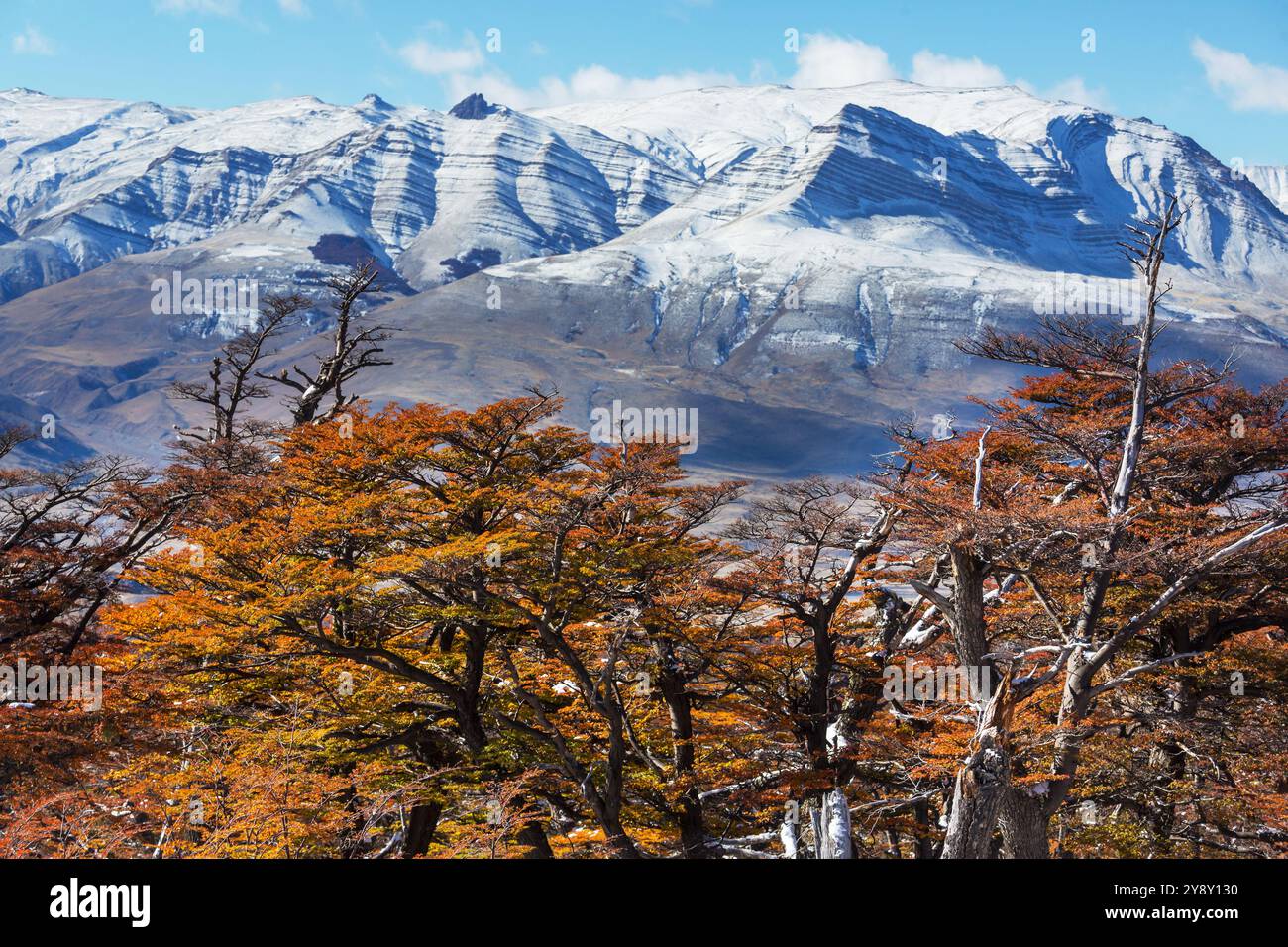 Autumn season in Patagonia mountains, South America, Argentina Stock ...