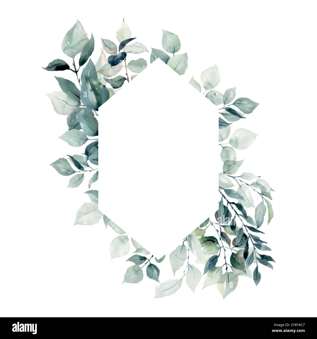 Botanic frame Cut Out Stock Images & Pictures - Alamy