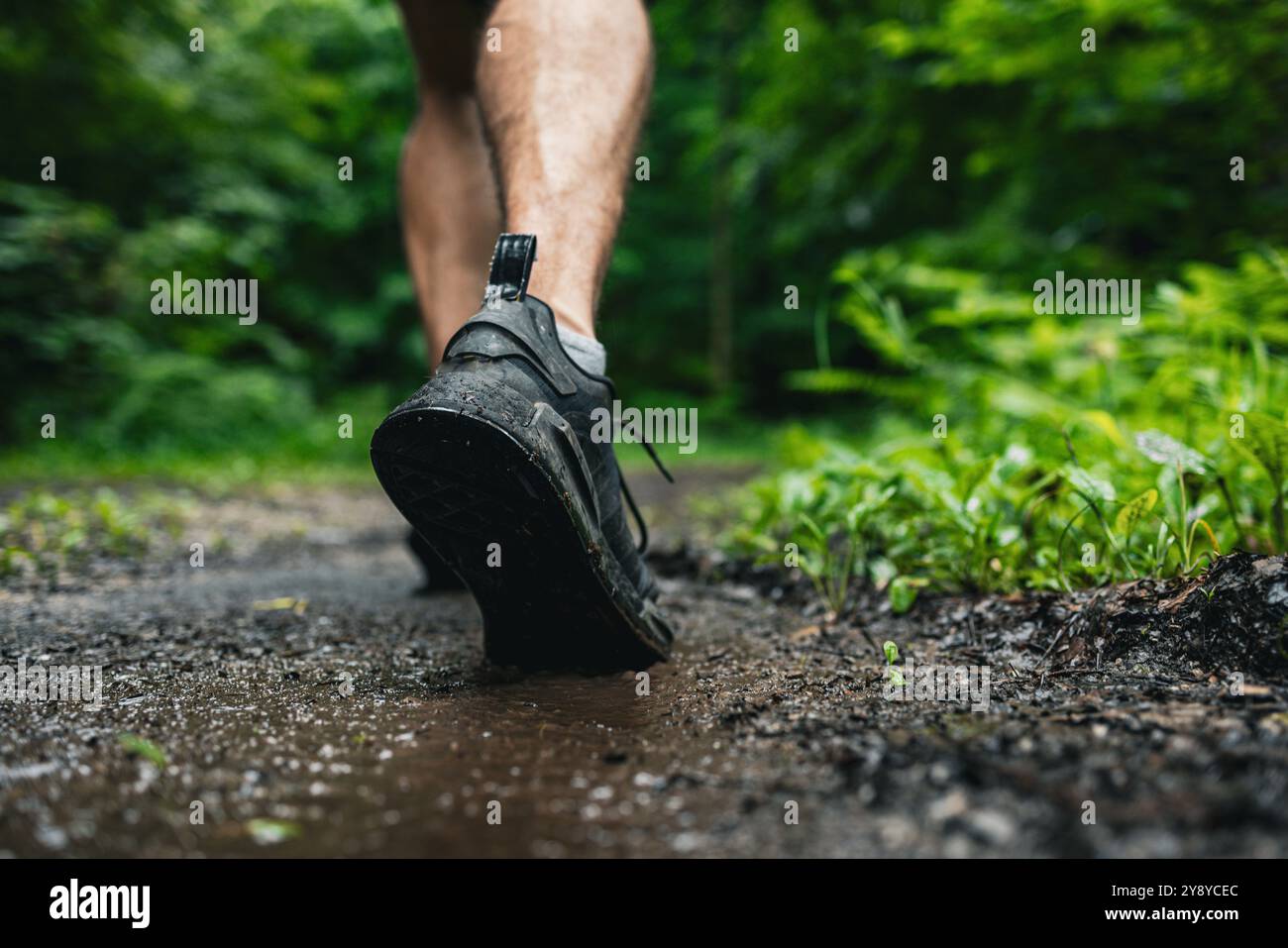 Close up shot of a  male trail runners legs while  running on a muddy trail in fall season Stock Photo