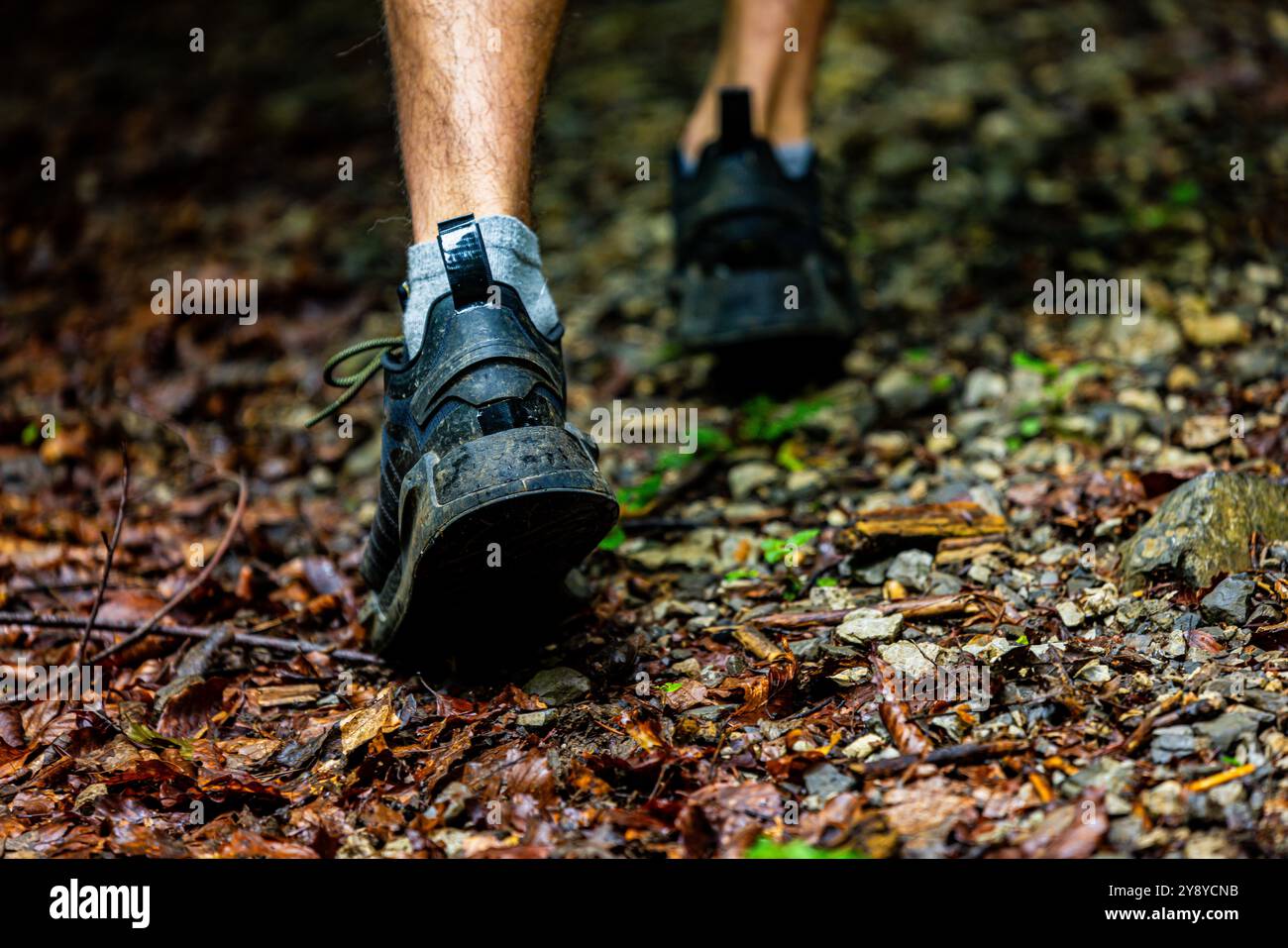 Triathlon runner training on a forest trail Stock Photo