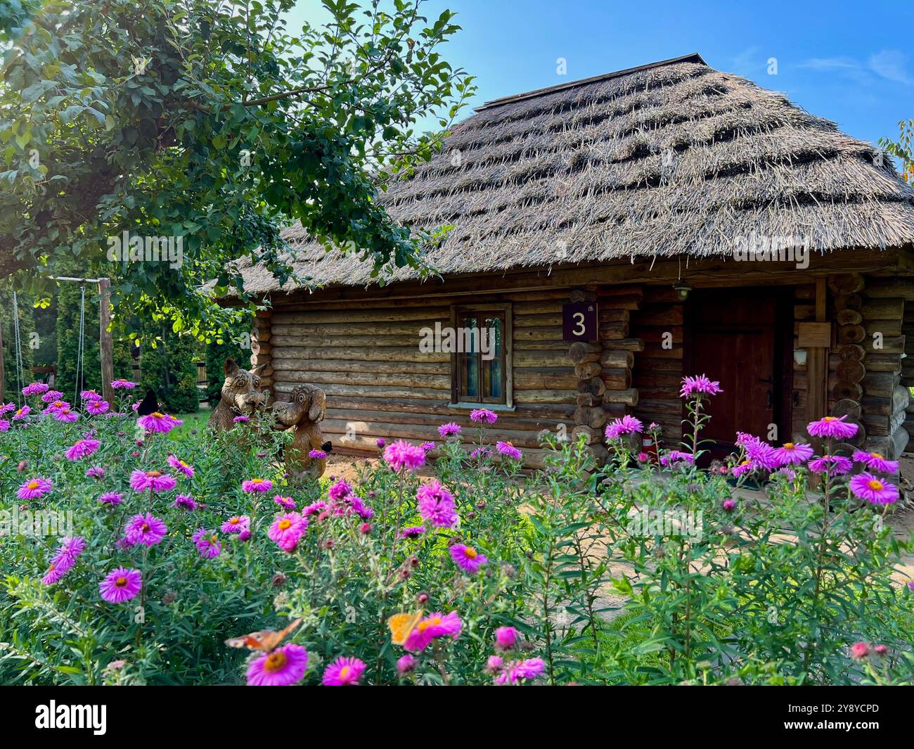 An old wooden house with a thatched roof. Village house with flowers and fruit trees in the yard. - Smartphone Captured Stock Image