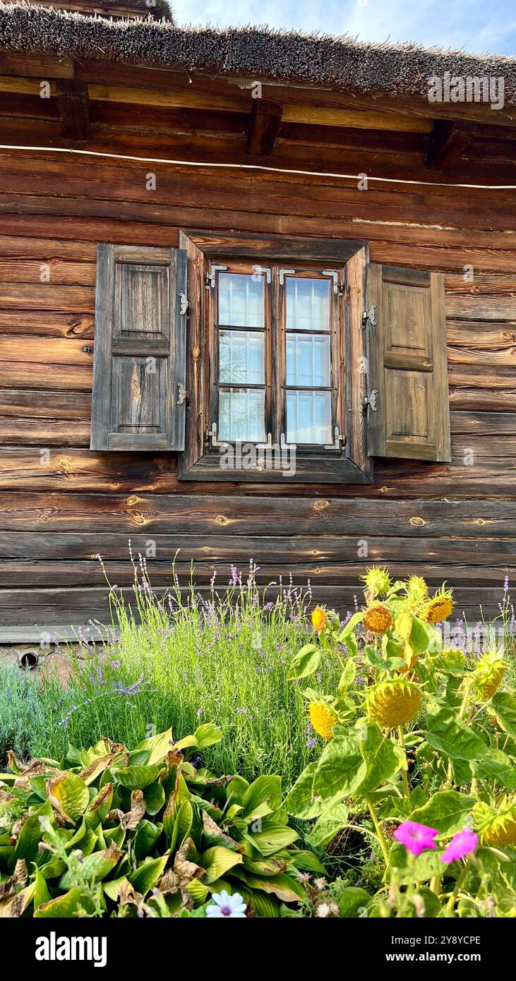 Vertical photo of an old house window with a thatched roof and a flower bed filled with colorful blooms in the foreground. Rustic charm, traditional a - Smartphone Captured Stock Image