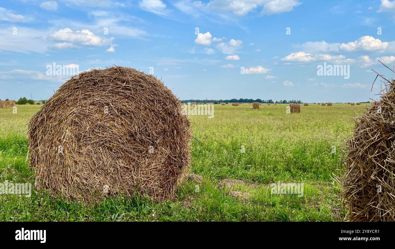 Close-up of a haystack against a clear blue sky, with additional haystacks visible in the distance. A serene rural scene, perfect for agriculture, har - Smartphone Captured Stock Image