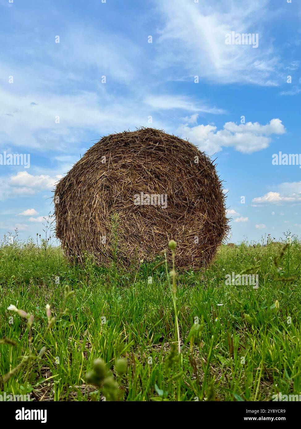 A lonely haystack against the blue sky. Harvesting, harvest festival. Close-up of a haystack. Vertical photo of a haystack. - Smartphone Captured Stock Image