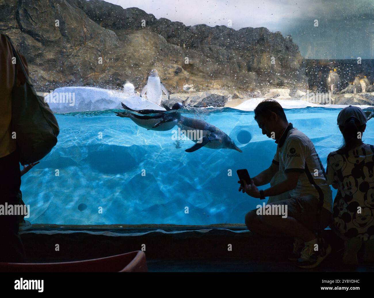 Singapore zoo kids exhibit hi-res stock photography and images - Alamy