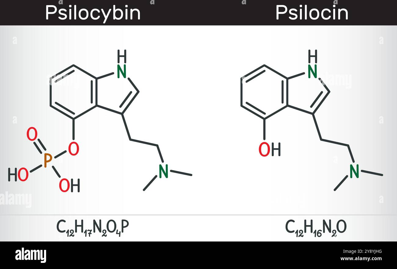 Psilocin and psilocybin molecules. Psychoactive compounds.Structural ...