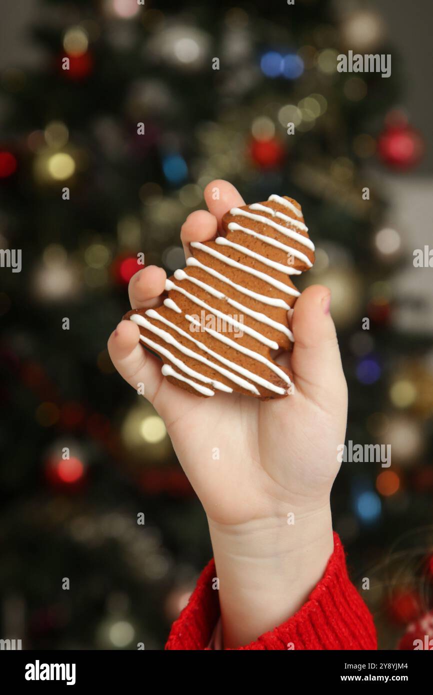 Close up of child hand holding Christmas gingerbread cookie Stock Photo