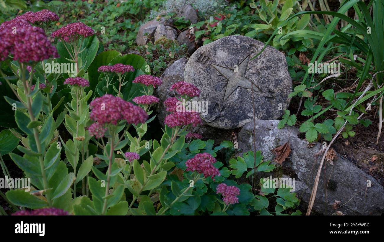 A stone compass between flowers Stock Photo - Alamy