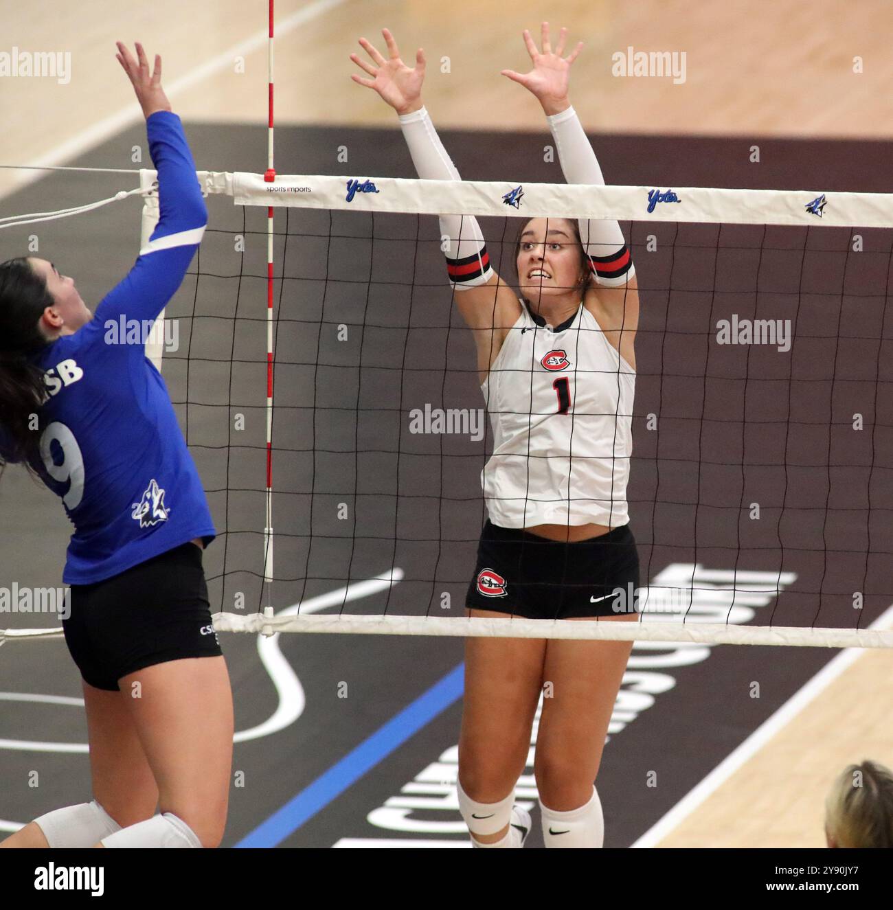 Sam Zimmermann Zimmerman block hi-res stock photography and images - Alamy