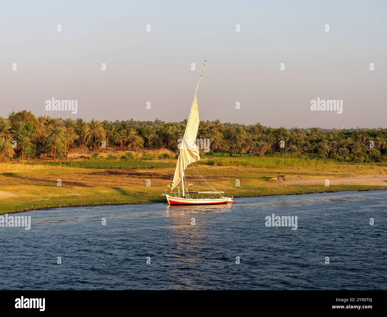 View of a felucca sailing down the great Nile River Egypt Stock Photo ...