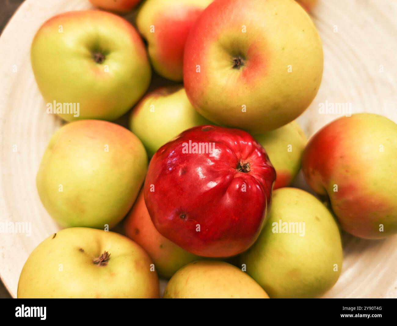 apple as an edible fruit and part of a healthy diet apple as an edible ...