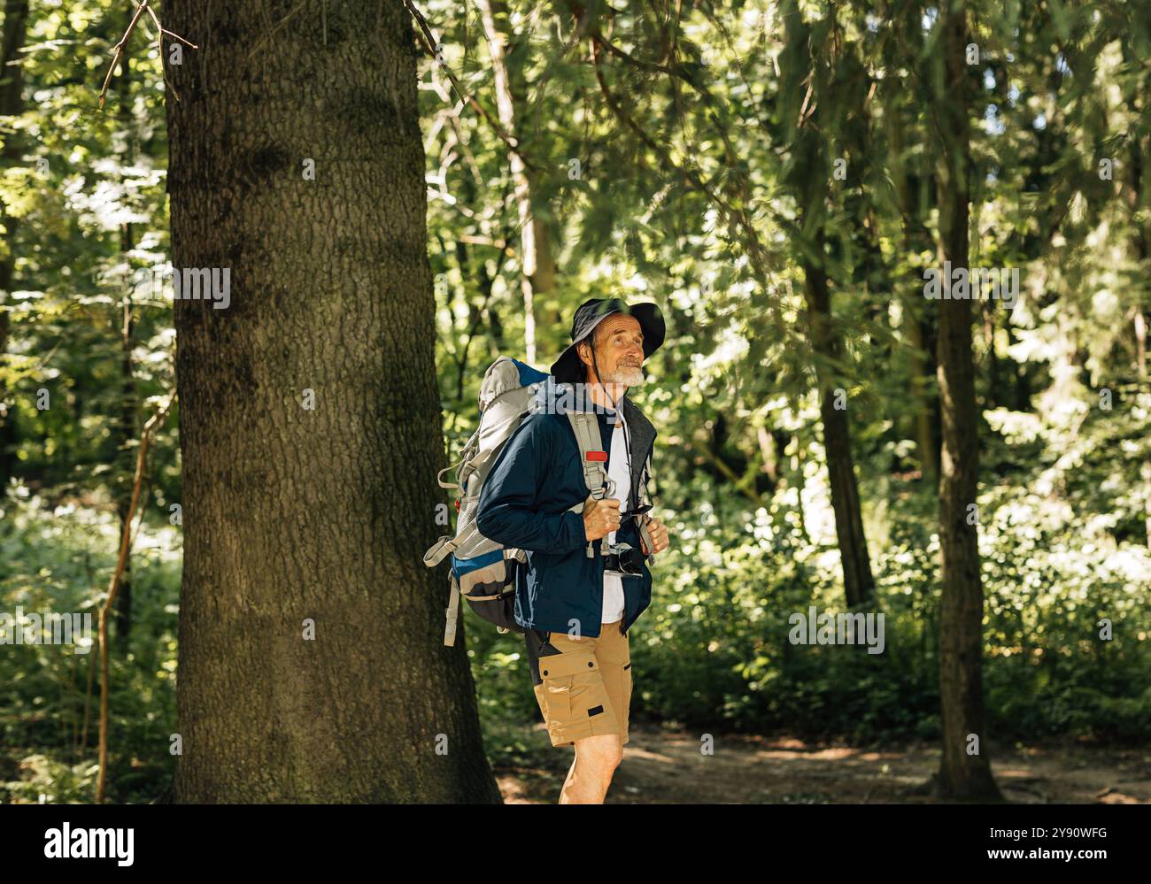 Senior man with backpack and hiking clothes walking in forest. Mature male enjoying the view while walking in forest. Stock Photo