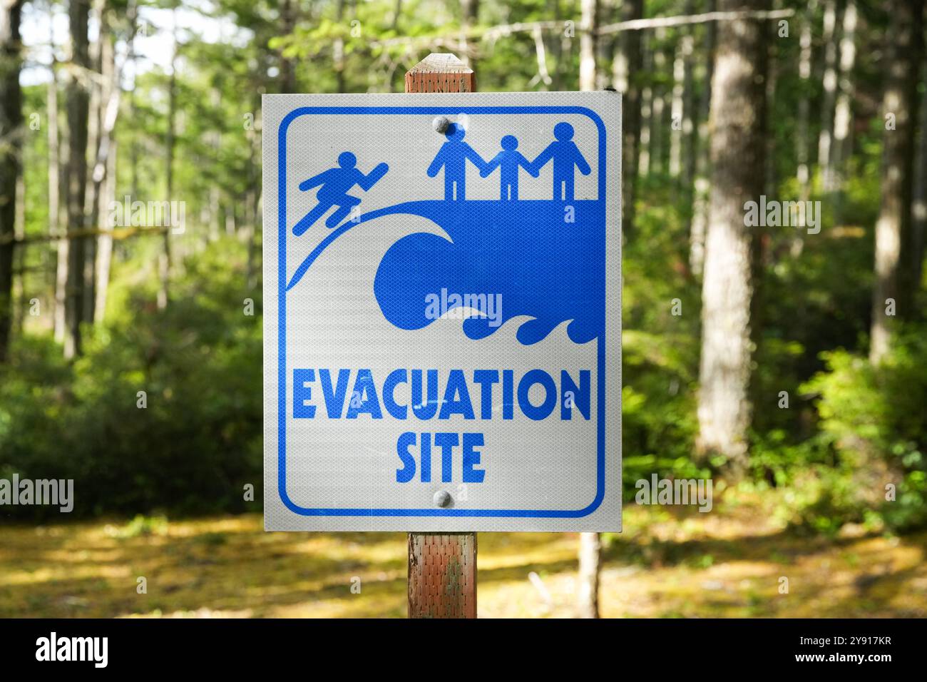 Is there a tsunami warning for the oregon coast
