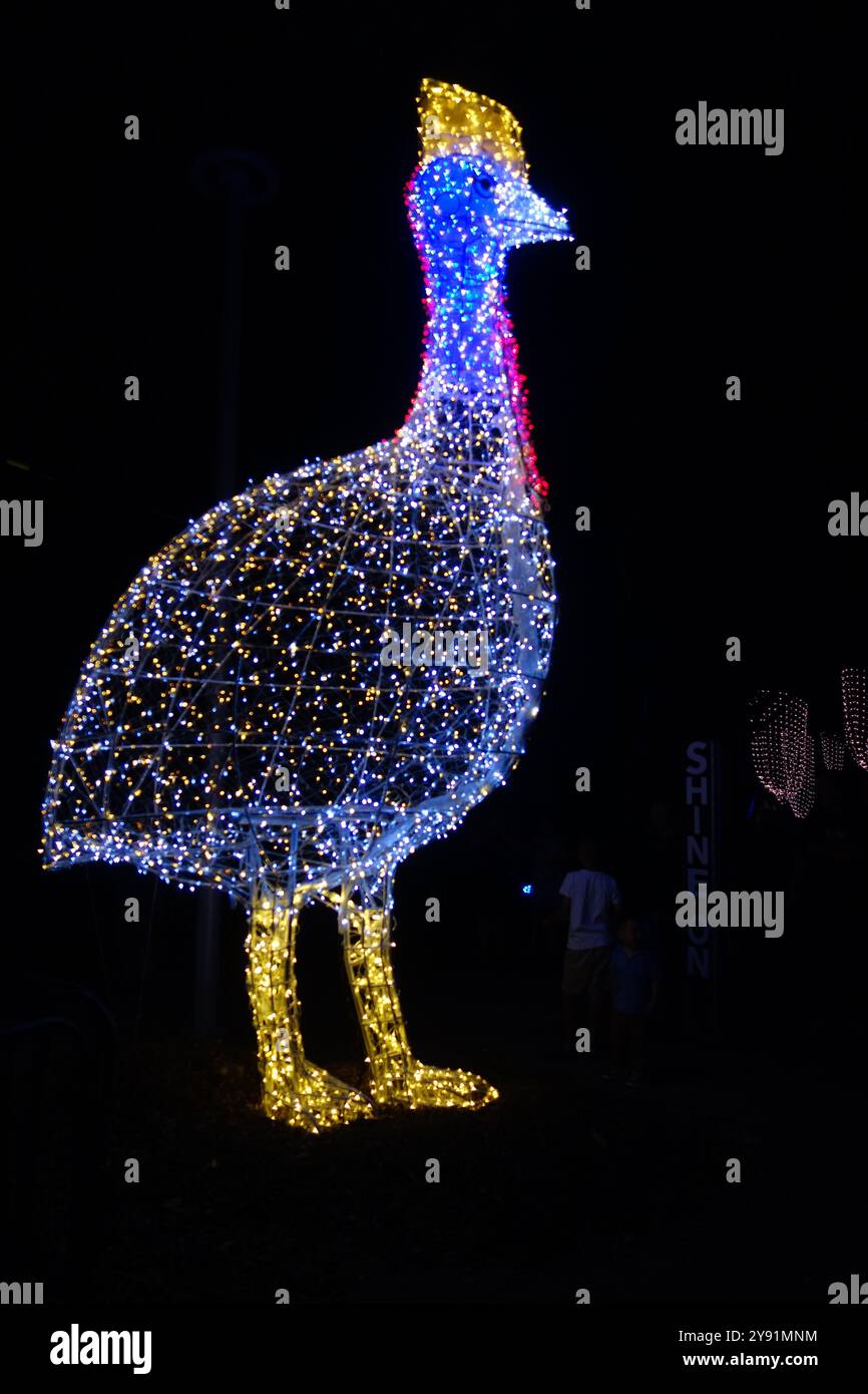 Giant cassowary statue made of fairy lights, Shine On Gimuy festival, Cairns, Queensland, Australia. No MR or PR Stock Photo