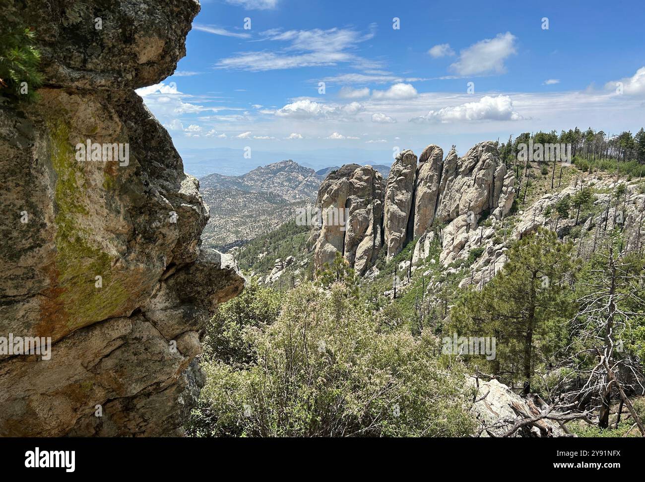 A license plate is used as a yard ornament commenting on excessive heat, Sonoran Desert, Tucson, Arizona, USA. - Smartphone Captured Stock Image