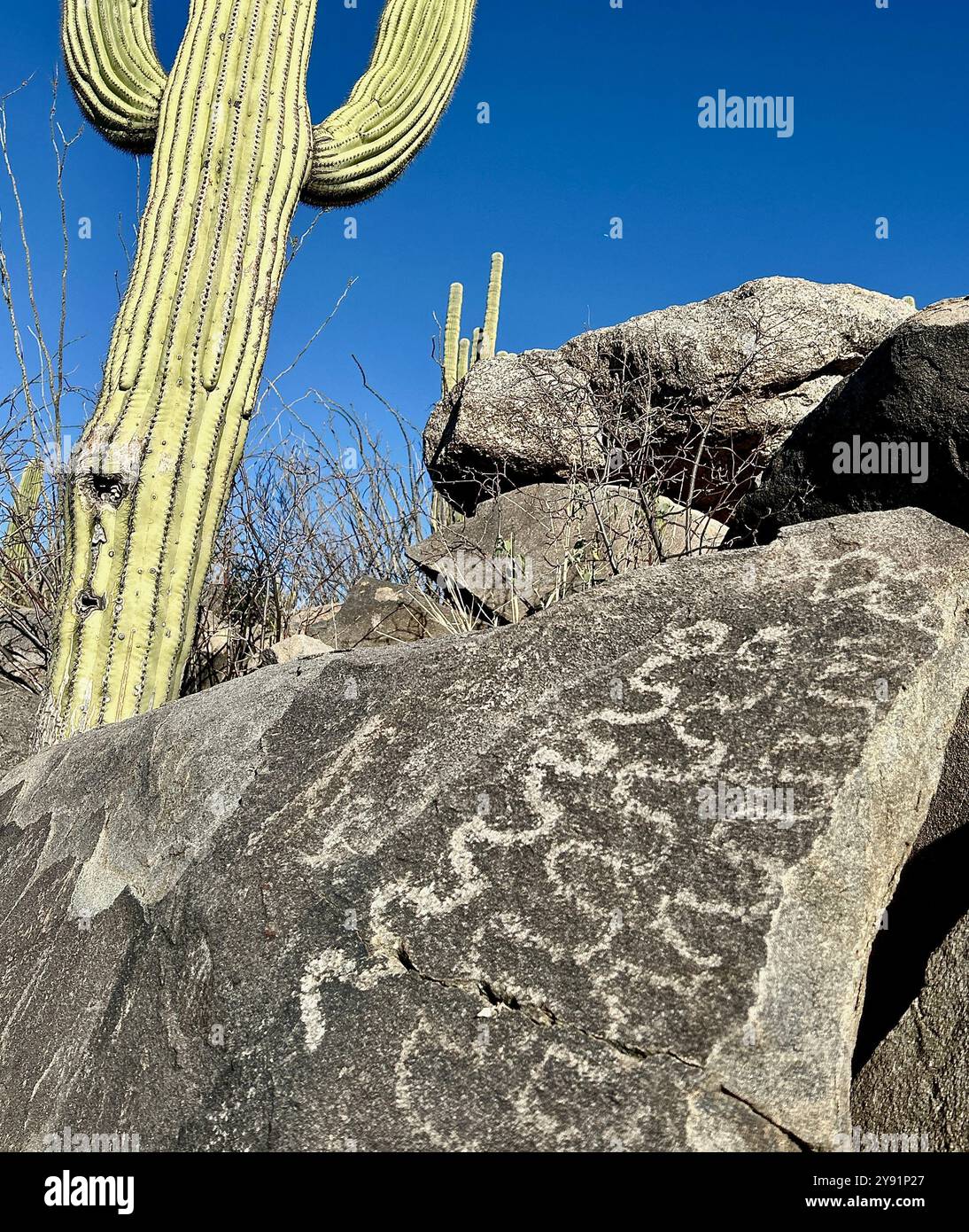 Petroglyphs, Coronado National Forest, Sonoran Desert, Catalina, Arizona, USA. - Smartphone Captured Stock Image