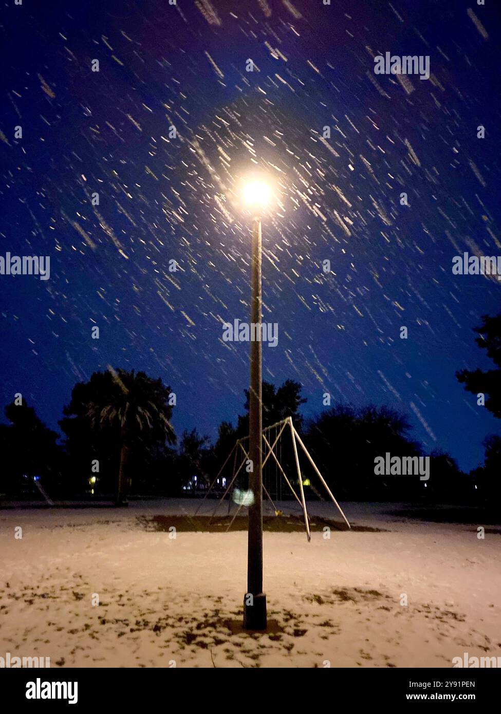 Snow falls at night in a public park in the Sonoran Desert, Tucson, Arizona, USA. - Smartphone Captured Stock Image