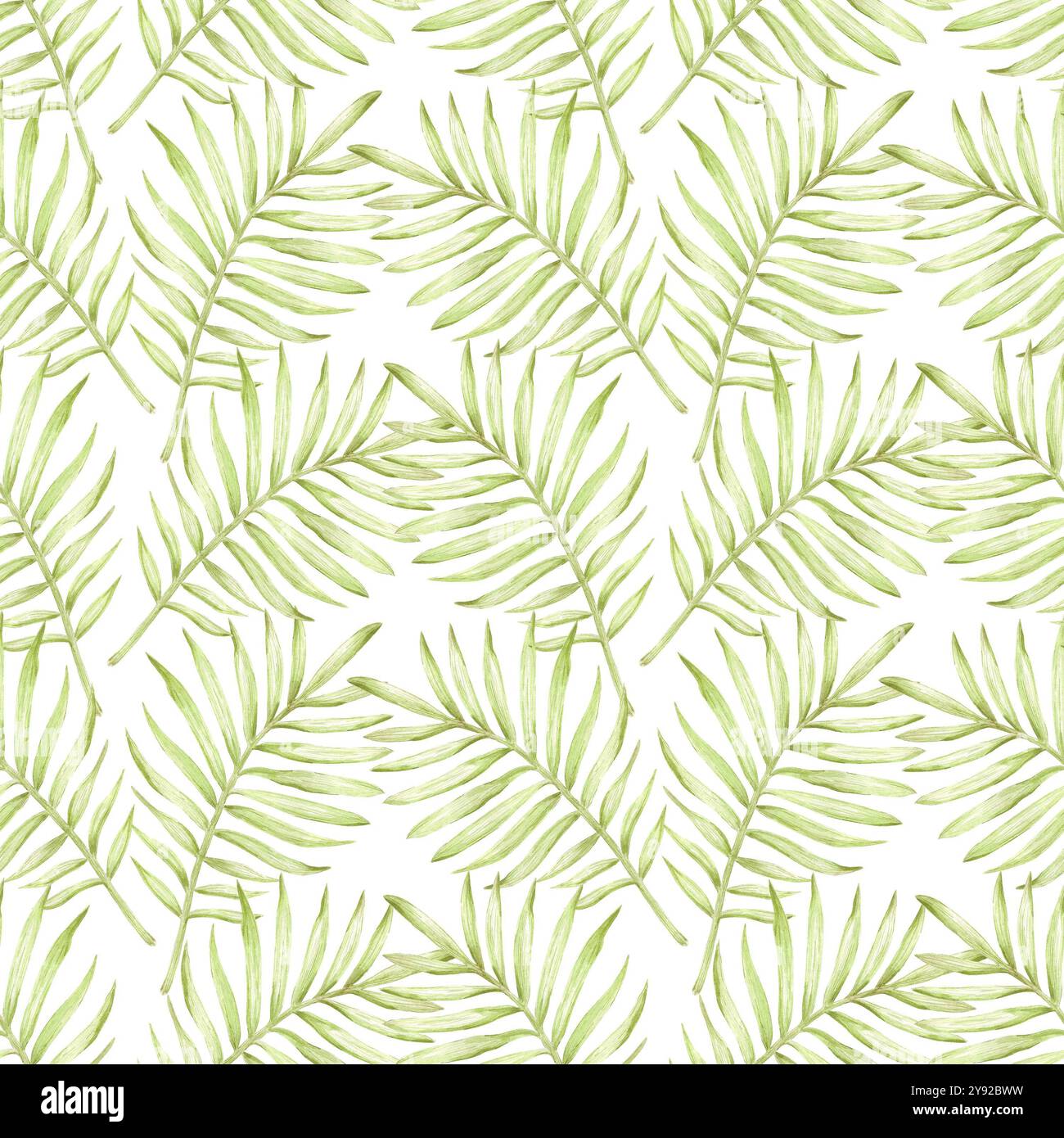 Hand drawn watercolor green monochrome palm tree leaves seamless ...