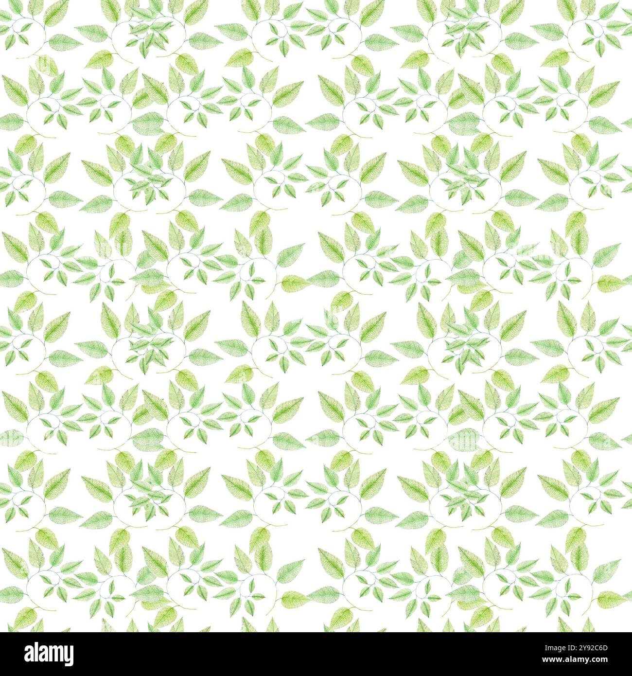 Hand drawn watercolor green twig seamless pattern isolated on white ...