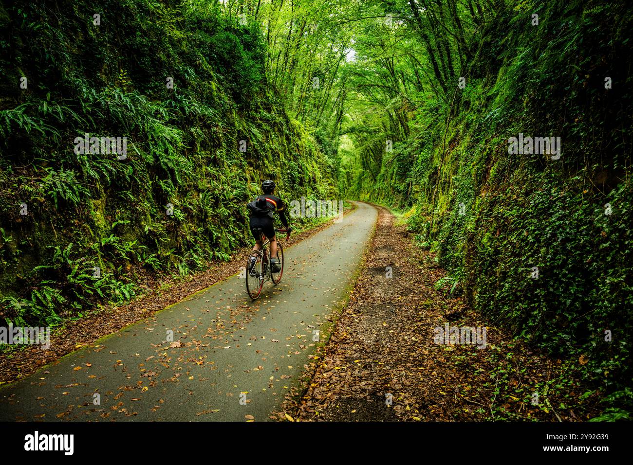 Male cyclist riding through a cutting on the Sarlat Voie Verte bike path from Sarlat to Cazoulès Stock Photo