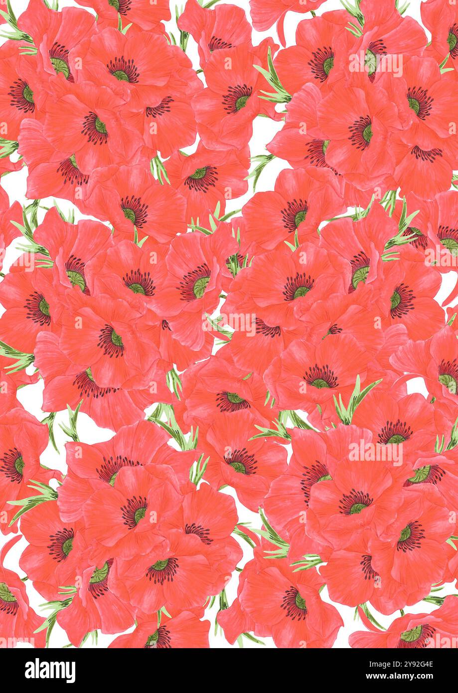 Hand drawn watercolor red poppy flowers post card isolated on white ...