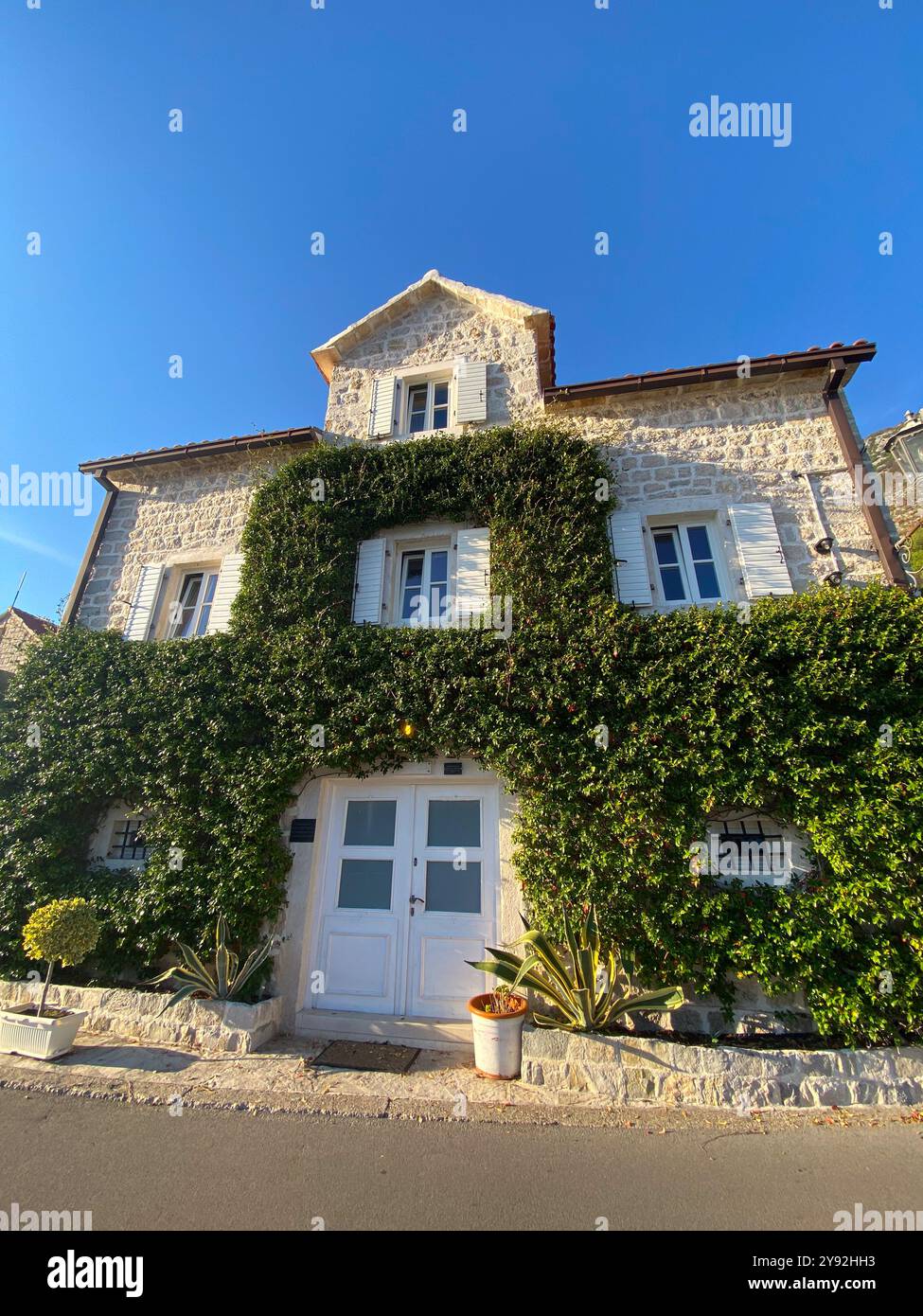 Charming stone house covered with lush green ivy under a clear blue sky ...