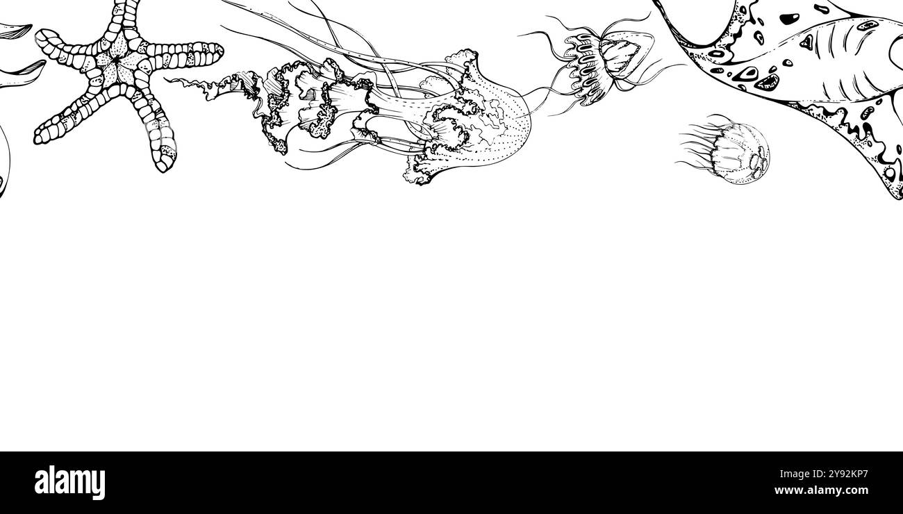 Marine life, sea ocean underwater creatures fish, shells algae seaweed, Ink and pen sketch hand drawn. Seamless banner illustration, stylized Stock Vector