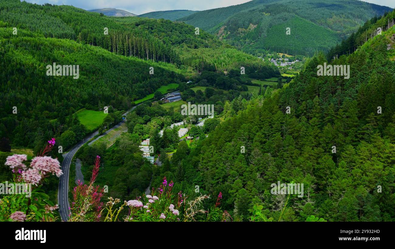 The Dulas Valley near Corris showing hills forests woodland and fields, a lush green environment. Stock Photo