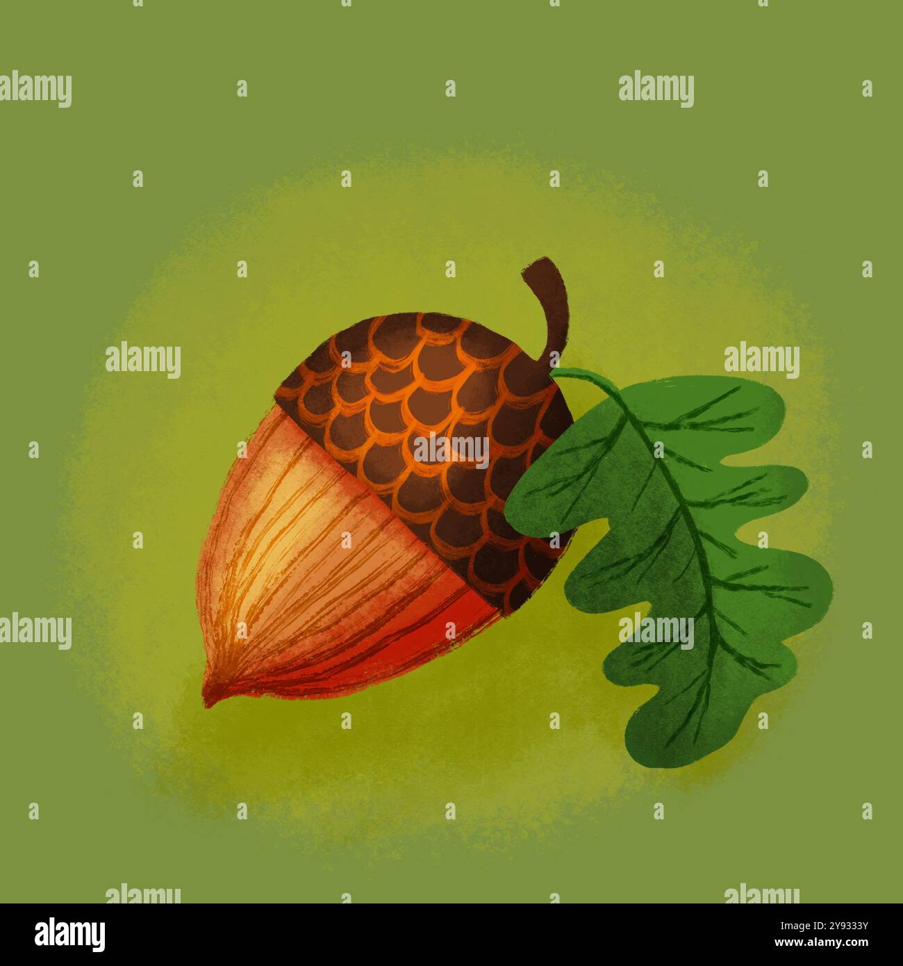 Oak leaf cluster acorn hi-res stock photography and images - Alamy