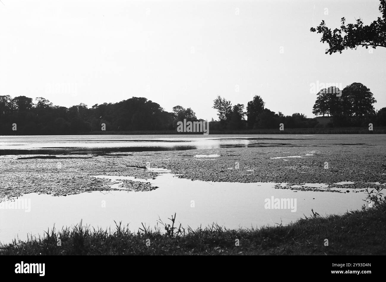 Calm water lake surrounded Black and White Stock Photos & Images - Alamy